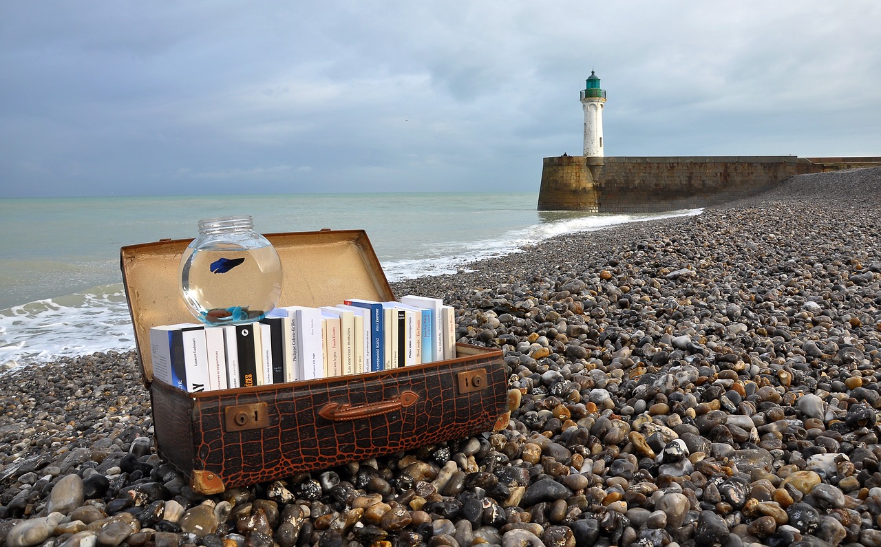 books, suitcase, novel