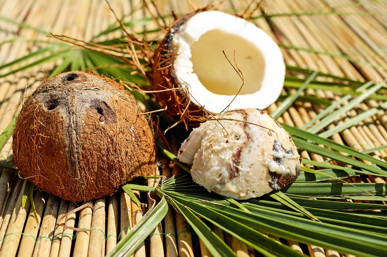 coconut, nut, shell